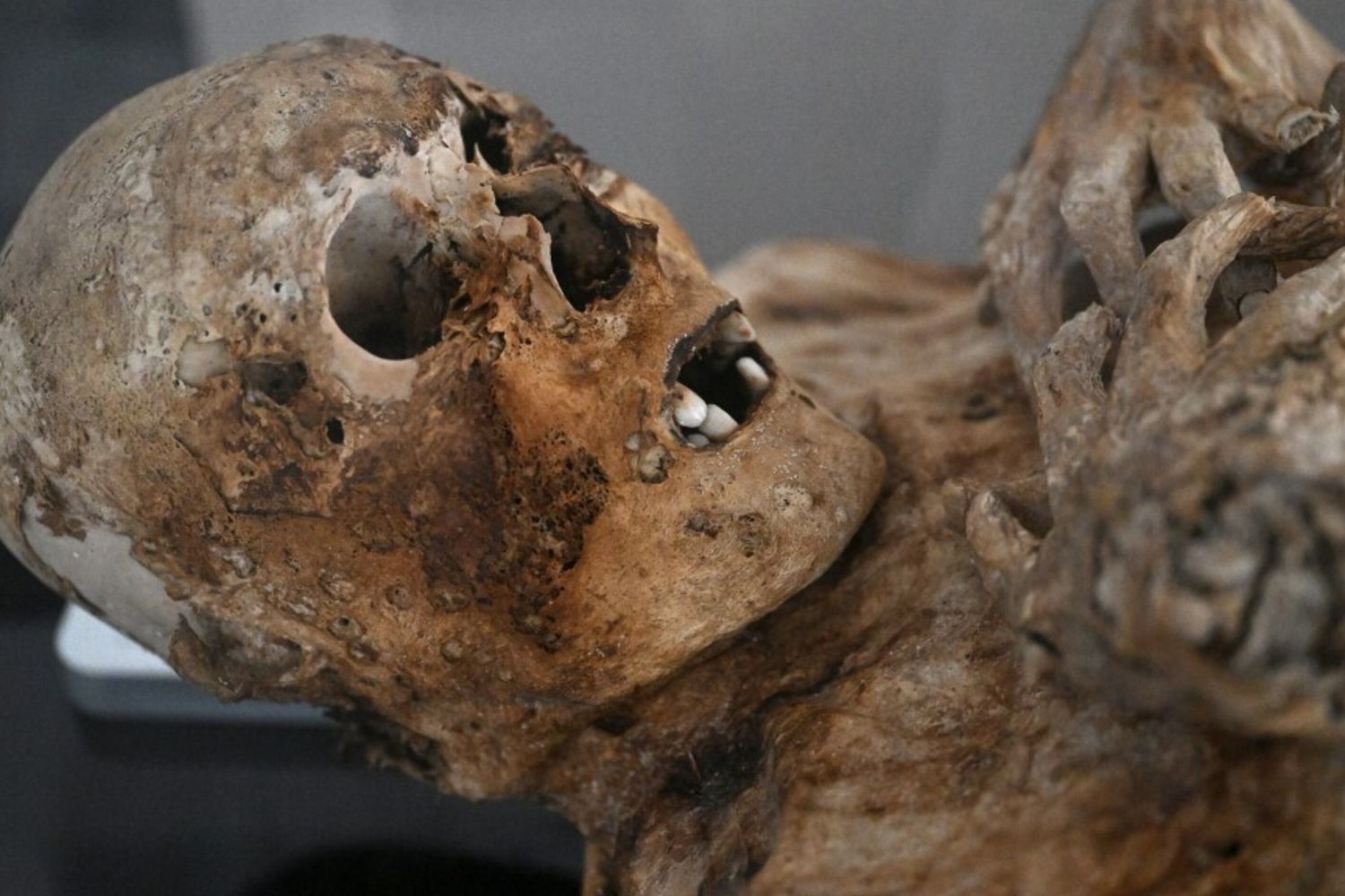 mummia - immagine di repertorio