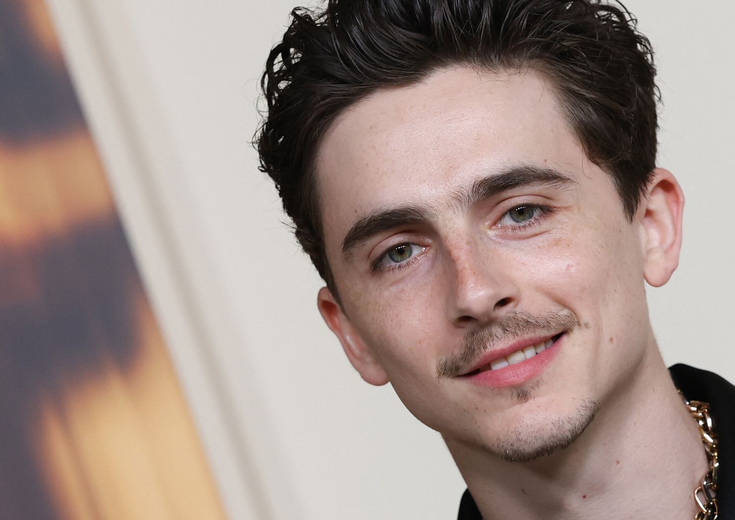 David Donatello Timothee Chalamet premio Speciale