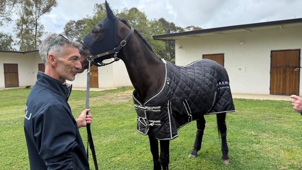 Varenne nell'allevamento LJ