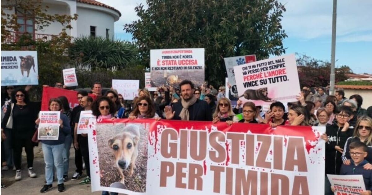 Denunciati i due uomini che uccisero la cagnolina Timida a Siracusa