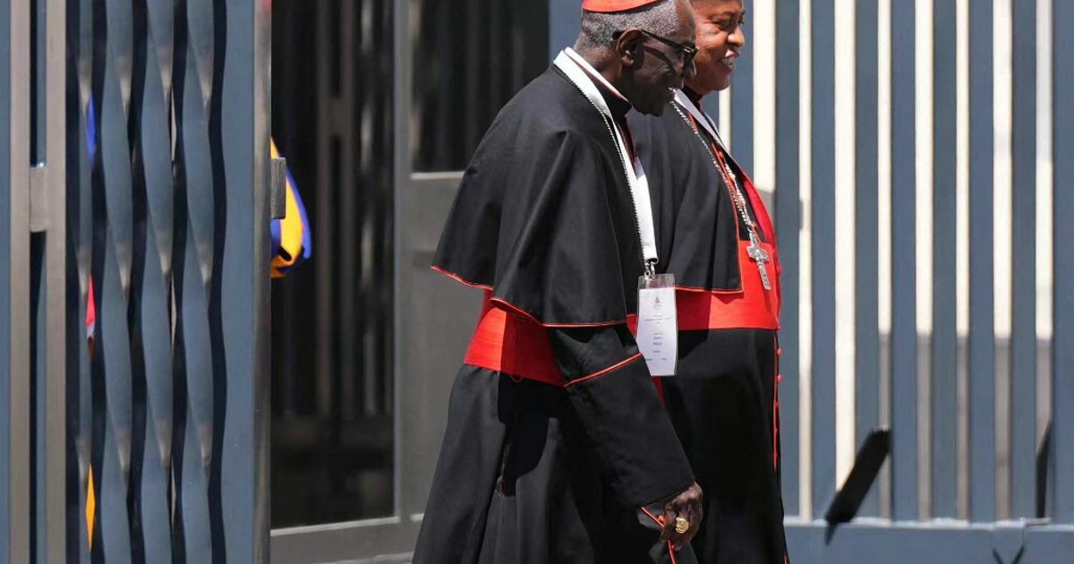 Il difensore della Chiesa tradizionalista, chi Robert Sarah,