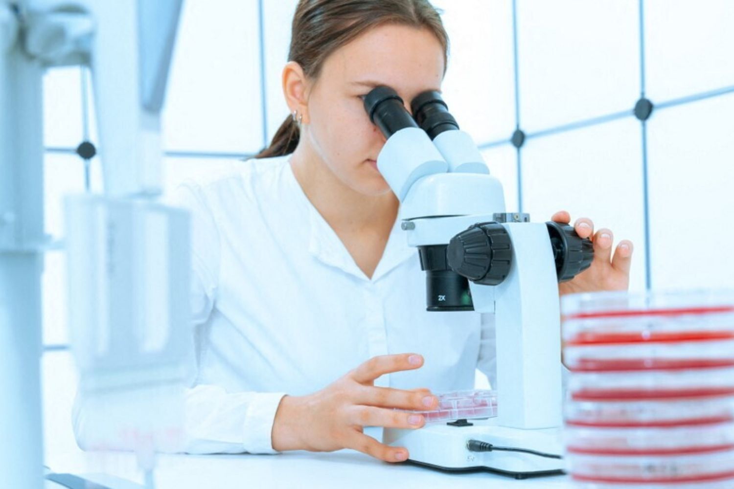 Per la prima volta in Finlandia è stato isolato un virus gigante