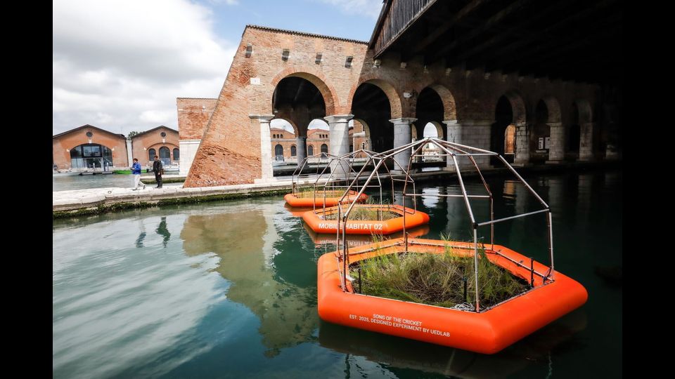 Biennale Architettura 2025