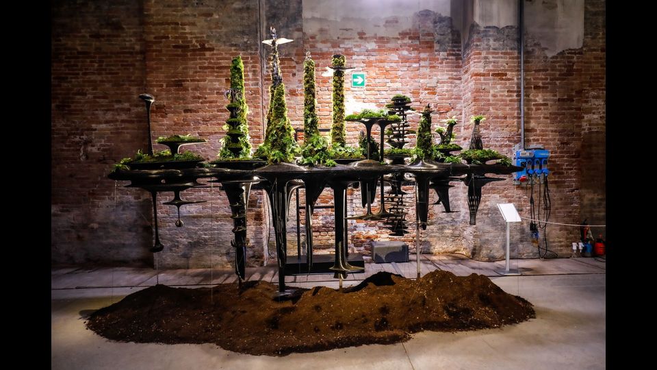 Biennale Architettura 2025