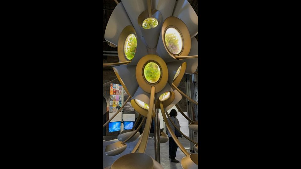 Biennale Architettura 2025
