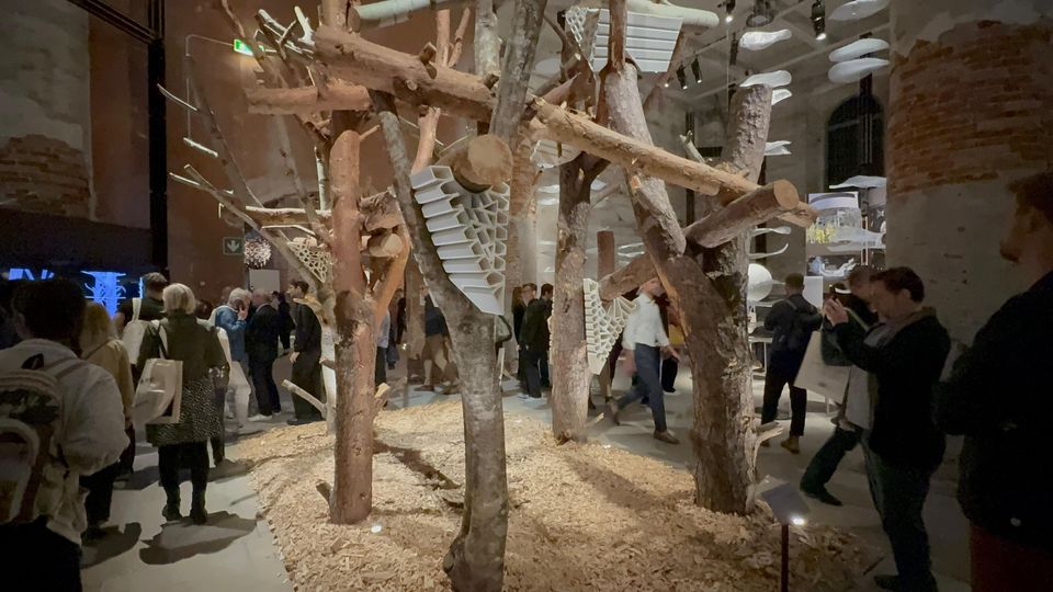 Biennale Architettura 2025
