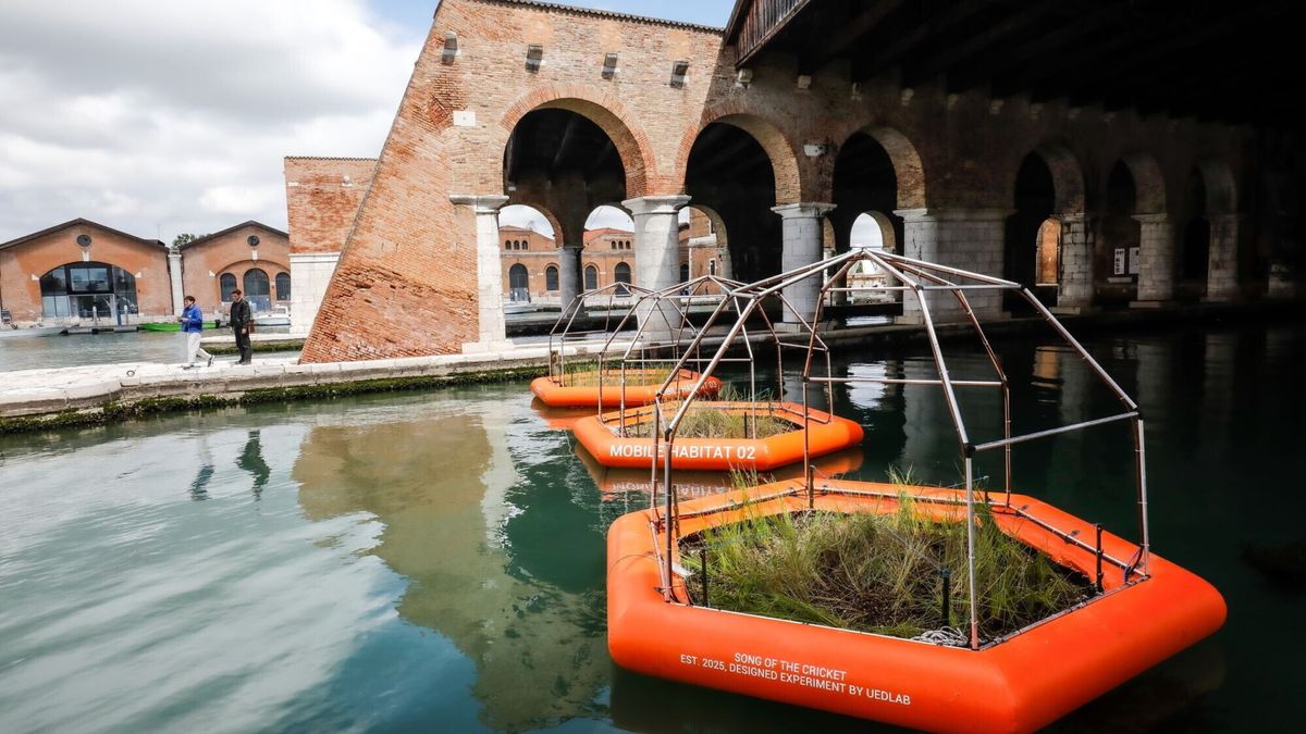 Biennale Architettura 2025