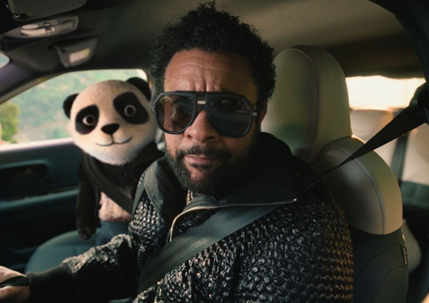 shaggy 30 anni boombastic panda