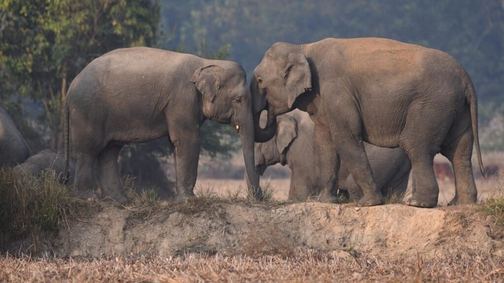 In Africa il turismo è una risorsa per il futuro