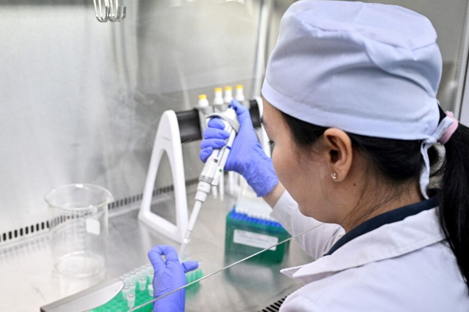 Il parassita responsabile di 50  milioni di infezioni e 70 mila morti l'anno