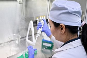Il parassita responsabile di 50  milioni di infezioni e 70 mila morti l'anno