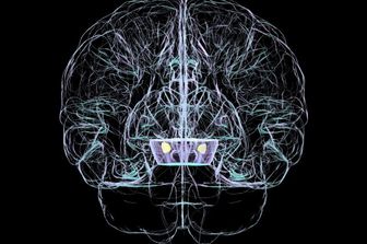 Nuovo esame per rilevare il Parkinson