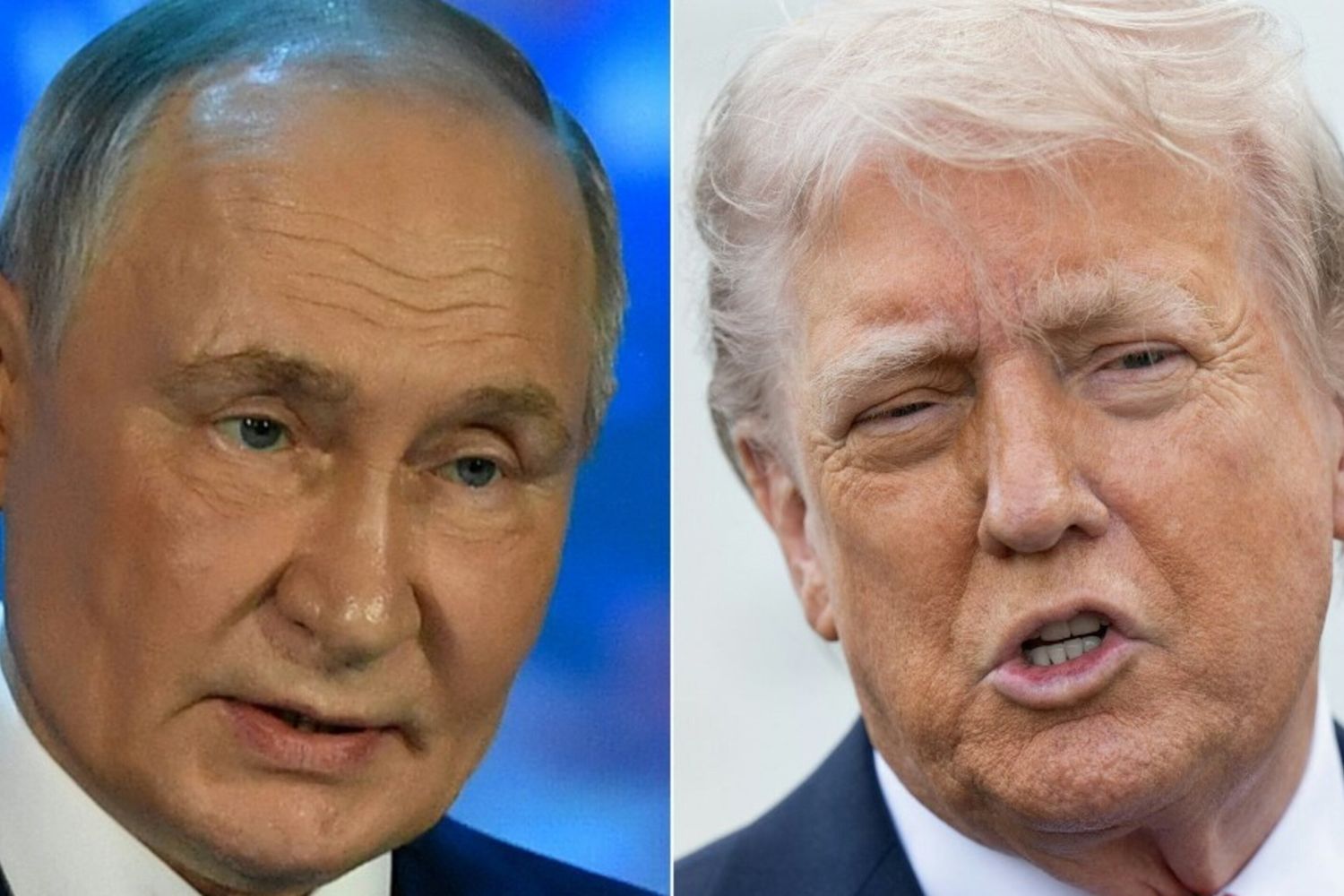 Vladimir Putin  e Donald Trump