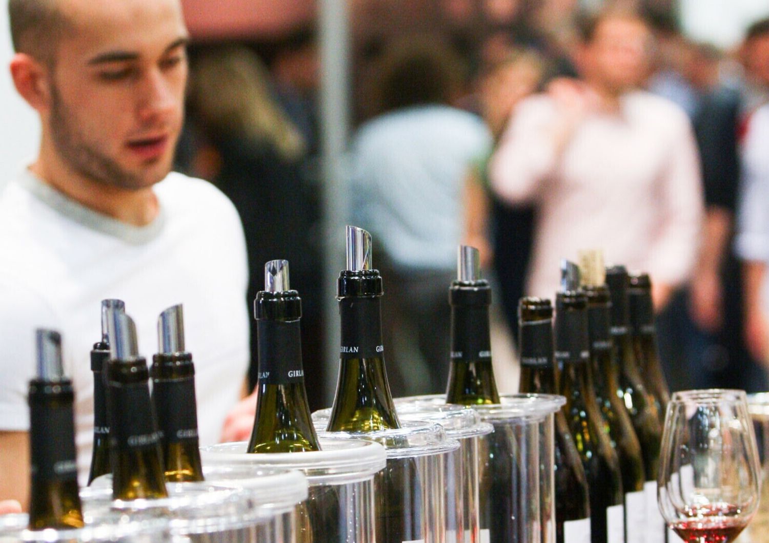 Vino