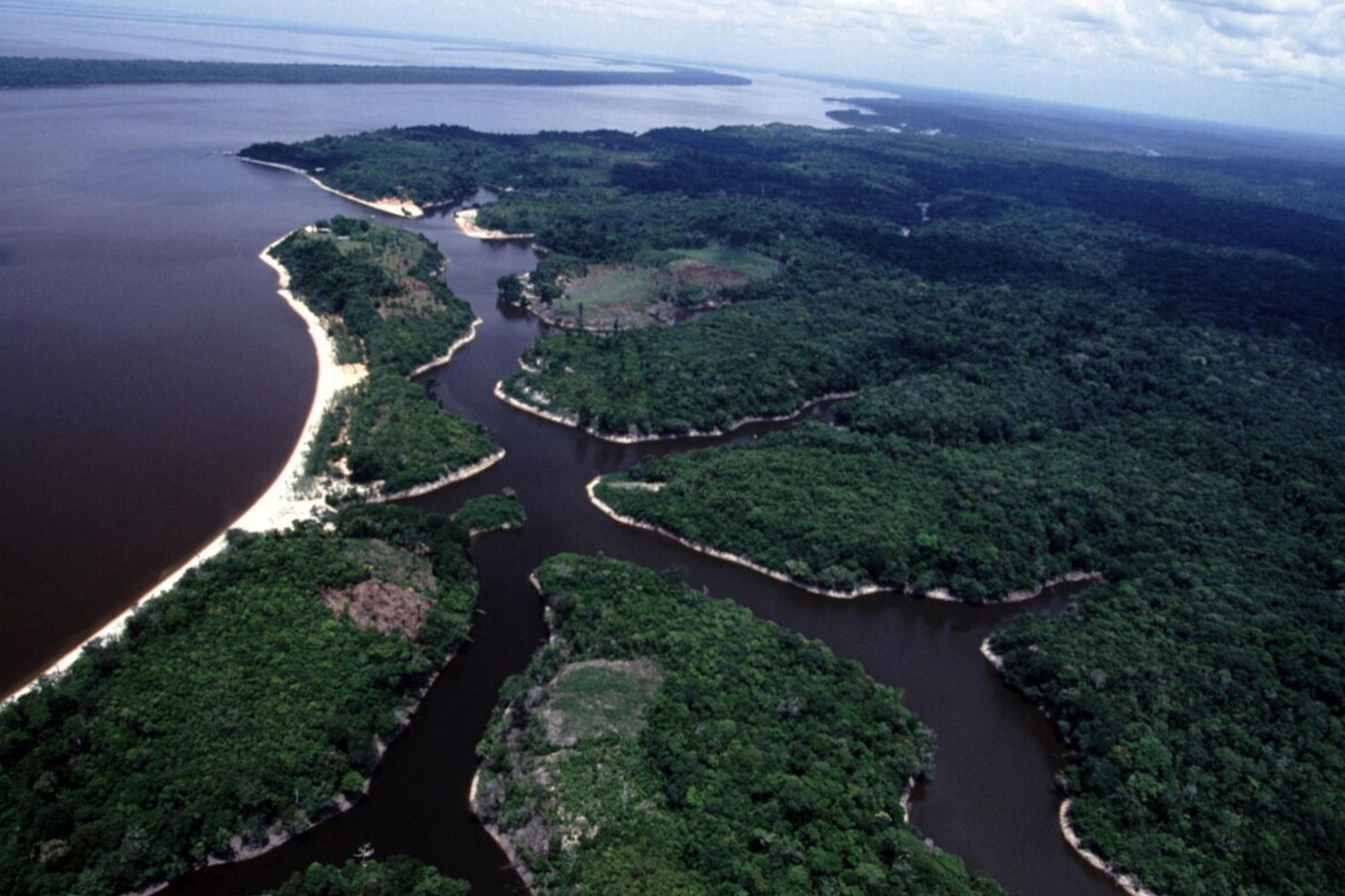 Brasile Rio delle Amazzoni e foresta amazzonica (Agf)