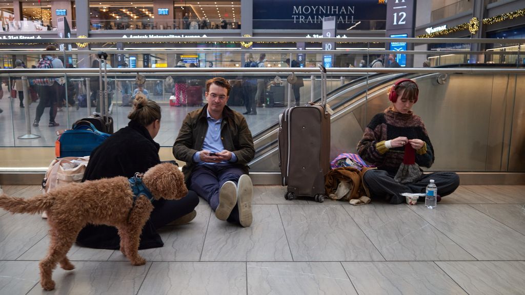 Sì, viaggiare ma con un compagno a quattro zampe