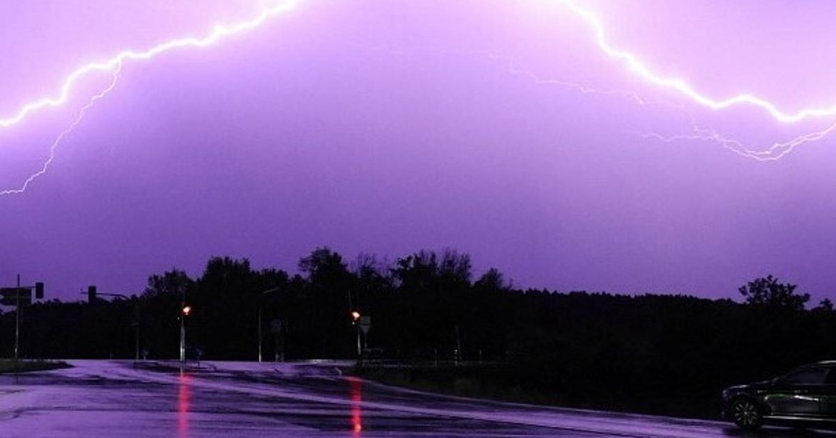 una tempesta di fulmini uccide 33 cavalli nel frusinate