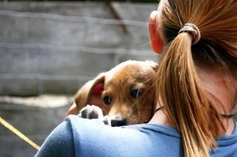 Avere un cane ridefinisce la genitorialità
