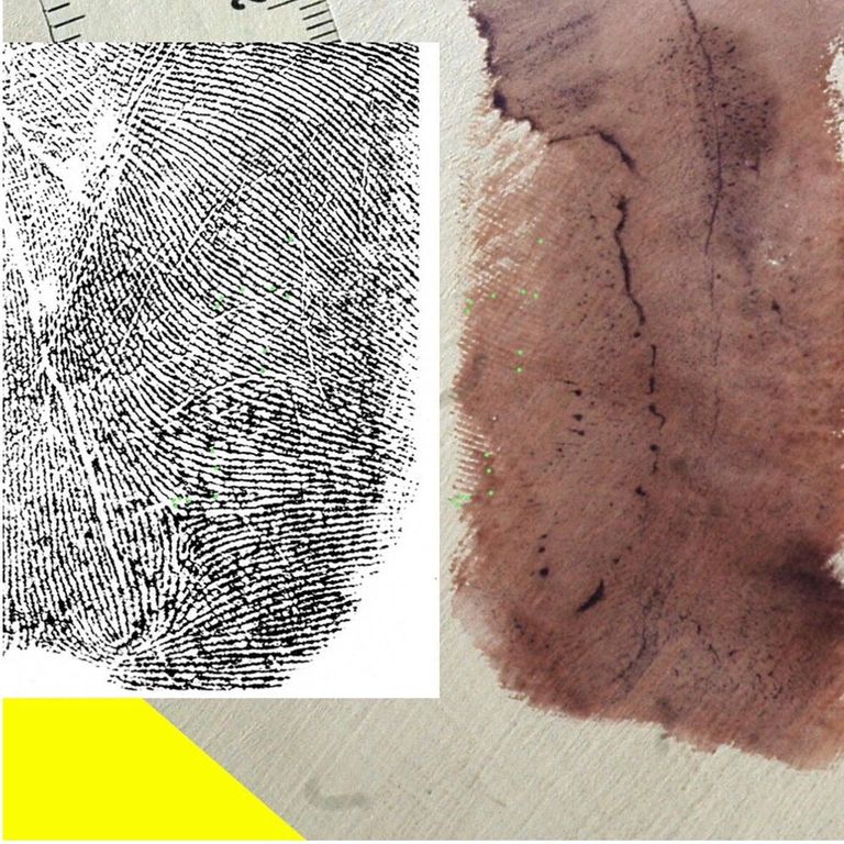 Impronta Andrea Sempio - Omicidio Garlasco