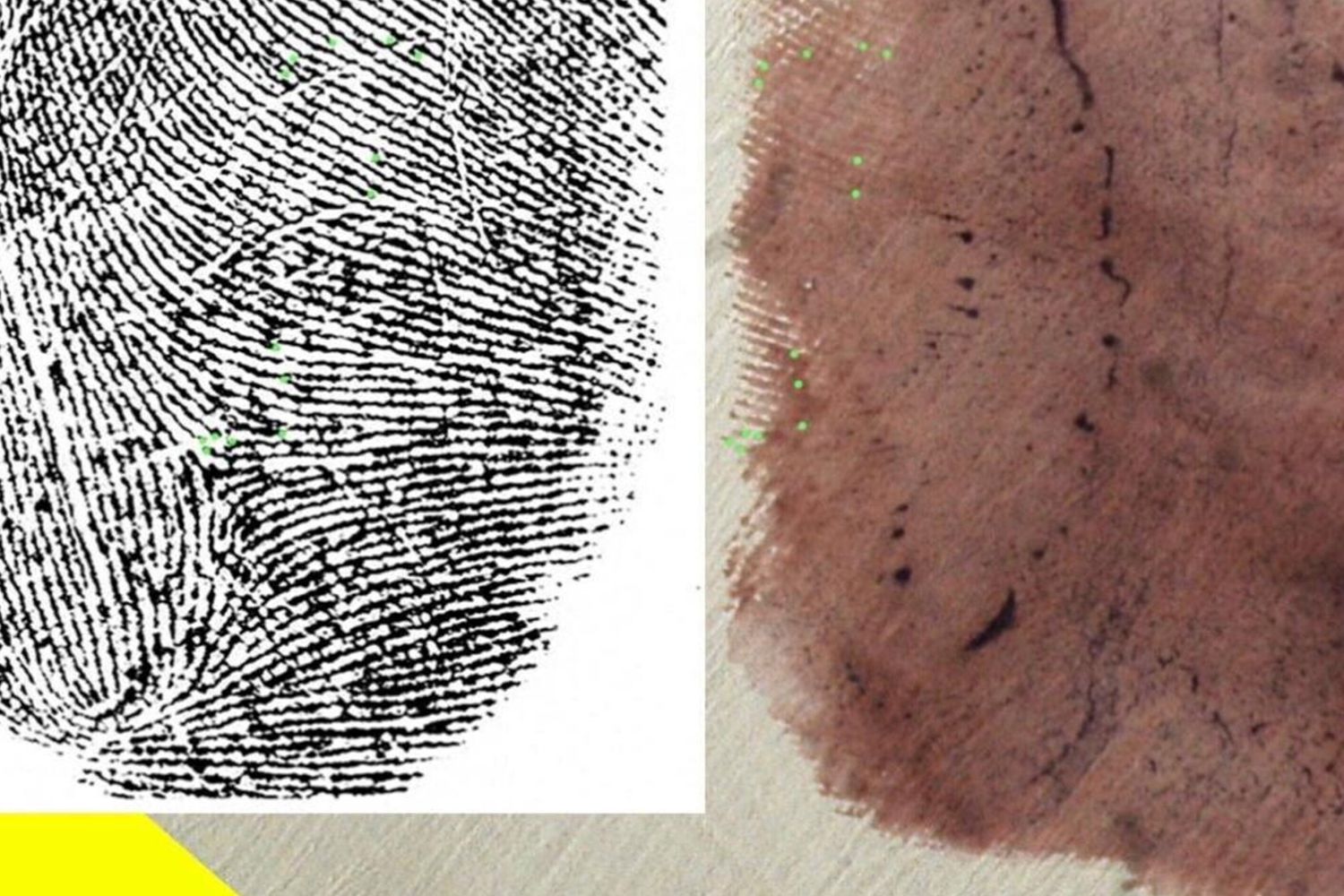 Impronta Andrea Sempio - Omicidio Garlasco