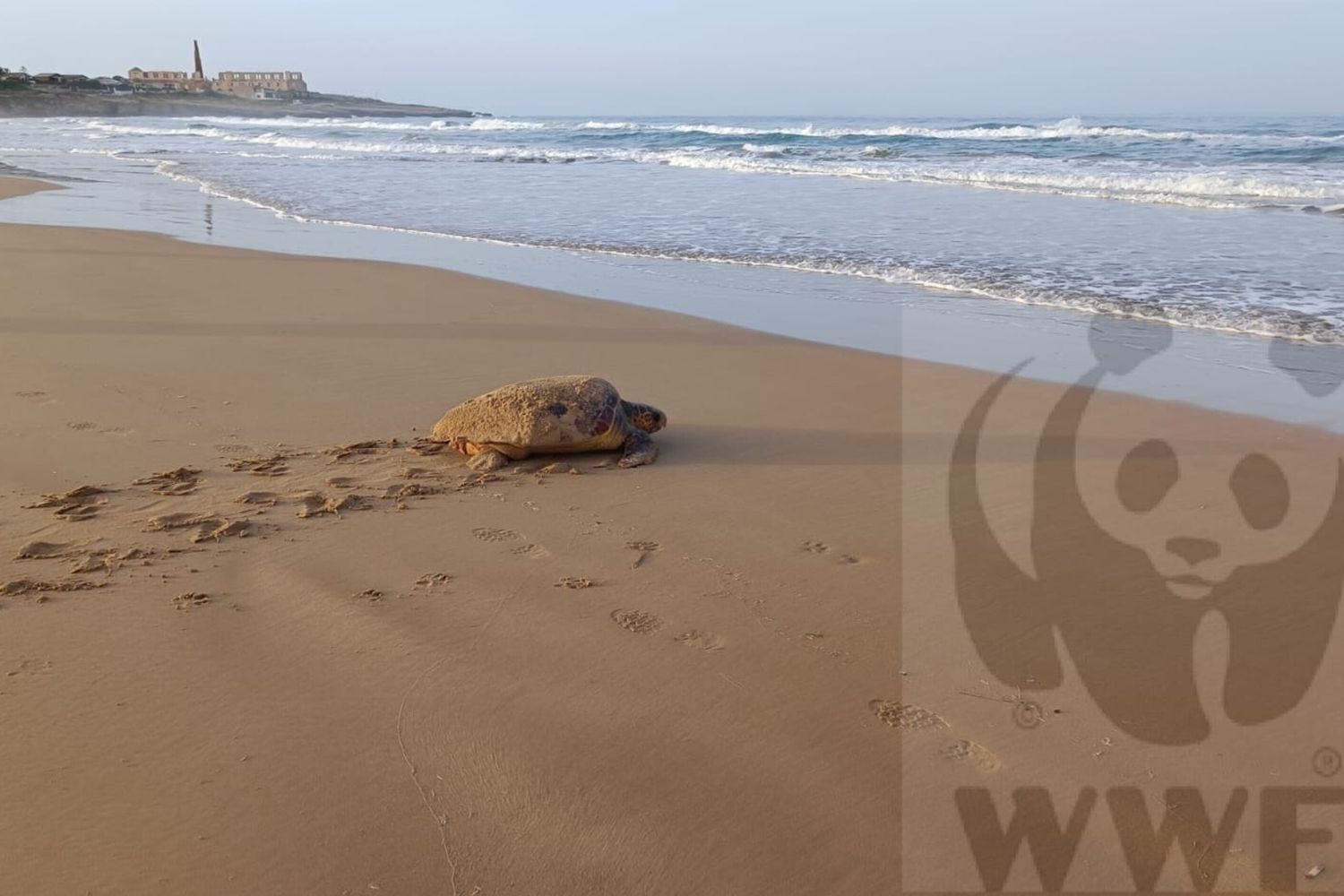 Spiaggia Fontane Bianche