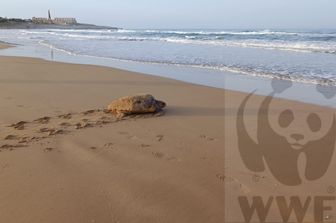 Spiaggia Fontane Bianche