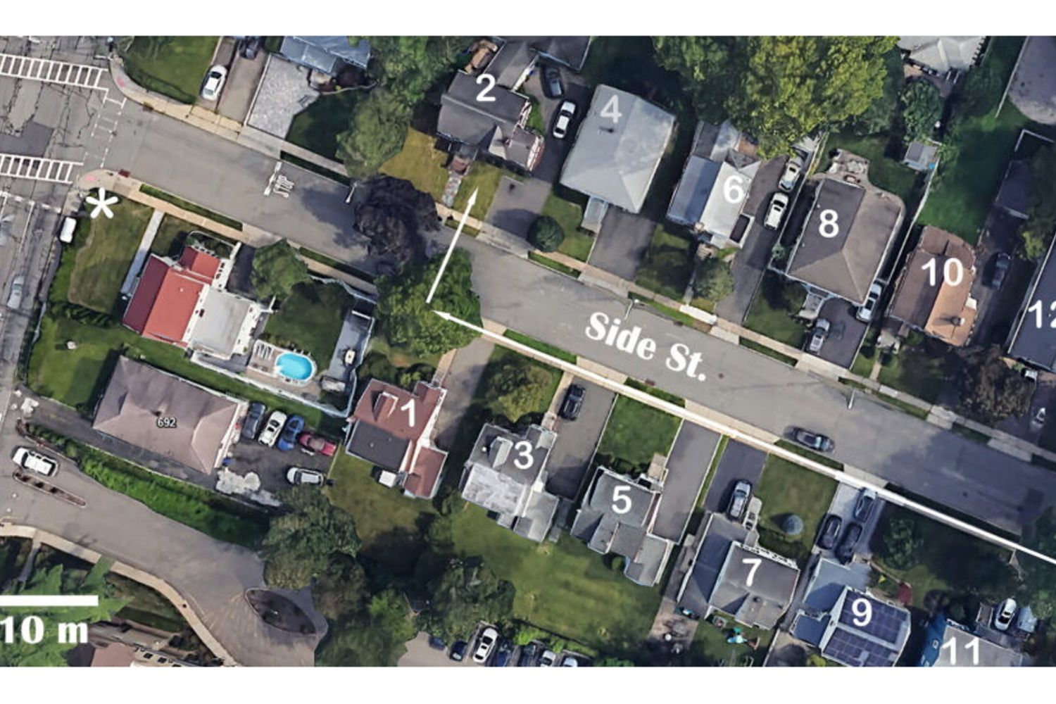 Rapaci usano auto e semafori per pianificare la caccia