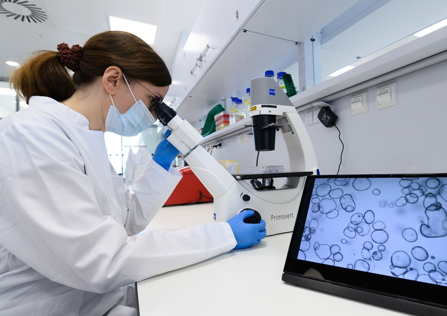 Ricerca scientifica sui tumori