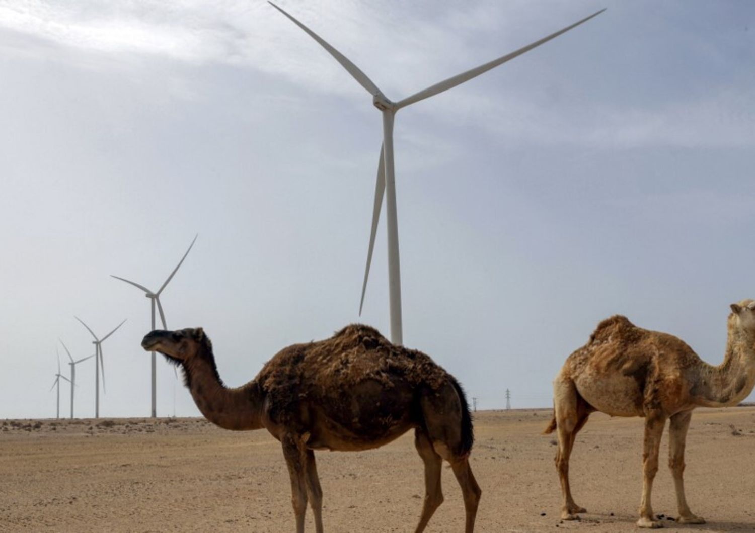 Cambiamento climatico