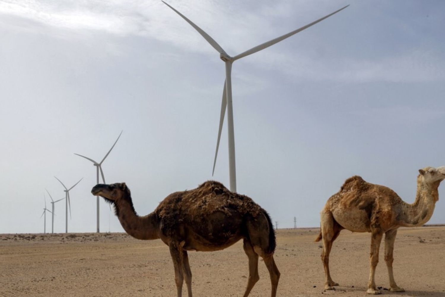 Cambiamento climatico