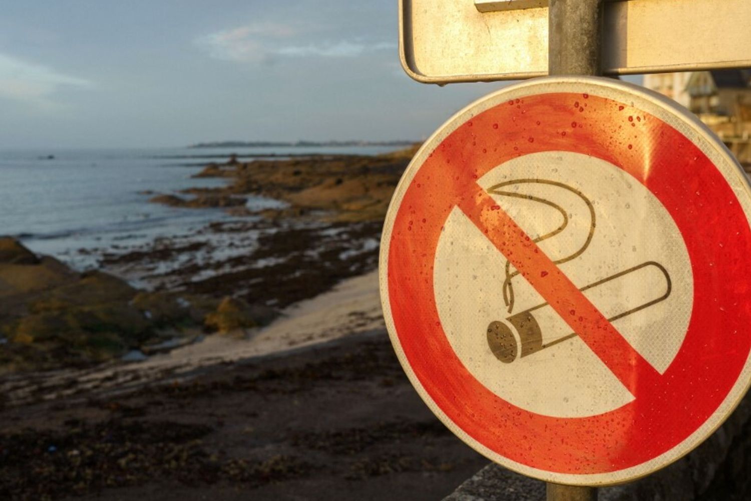 Divieto di fumo in Francia