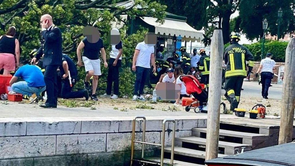 Cade albero a Venezia