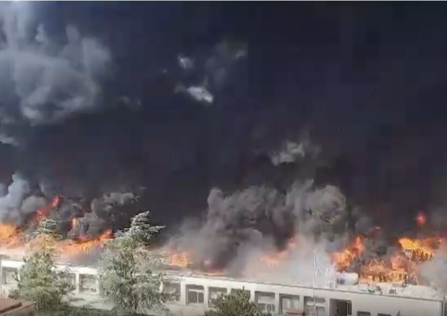 incendio universita agraria viterbo