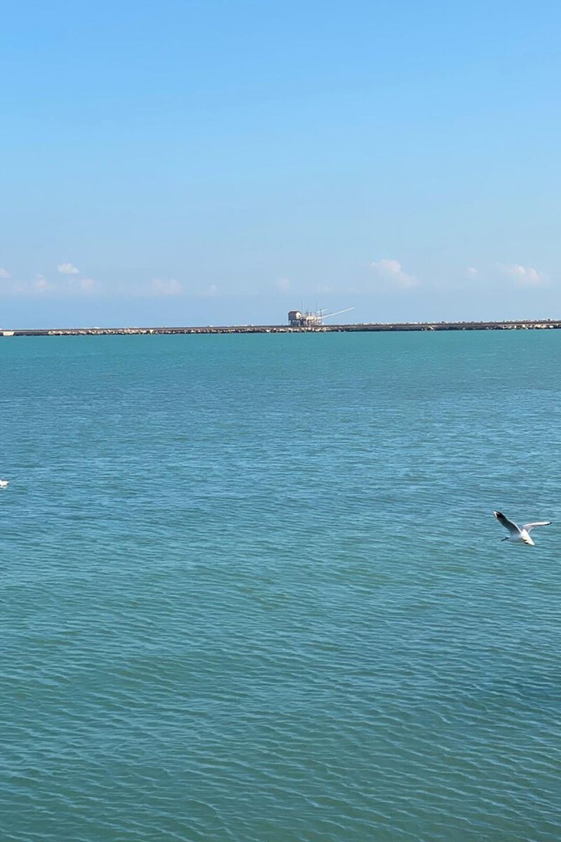 Qualità delle acque balneabili, la Puglia leader in Italia per il quinto anno di seguito