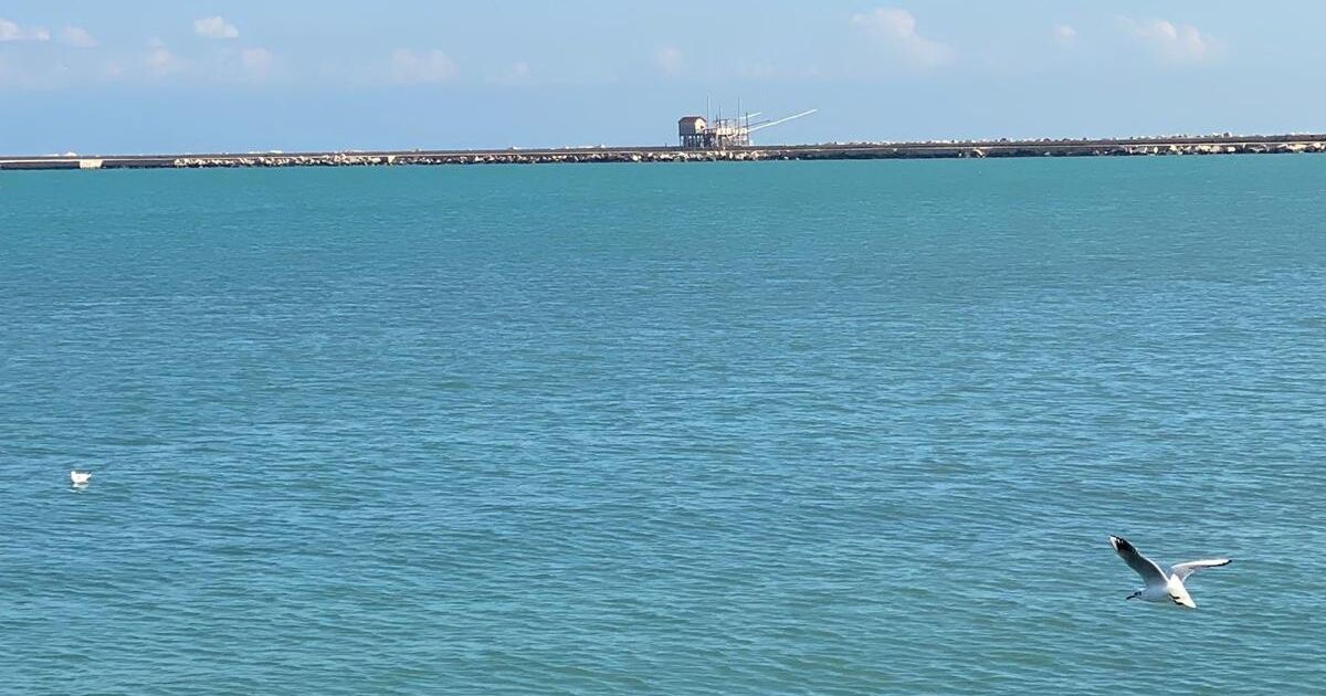qualità delle acque balneabili la puglia leader in italia per il quinto anno di seguito
