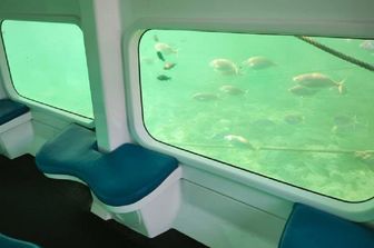 Scoprire i fondali marini delle Tremiti con un semi sommergibile, adesso si può