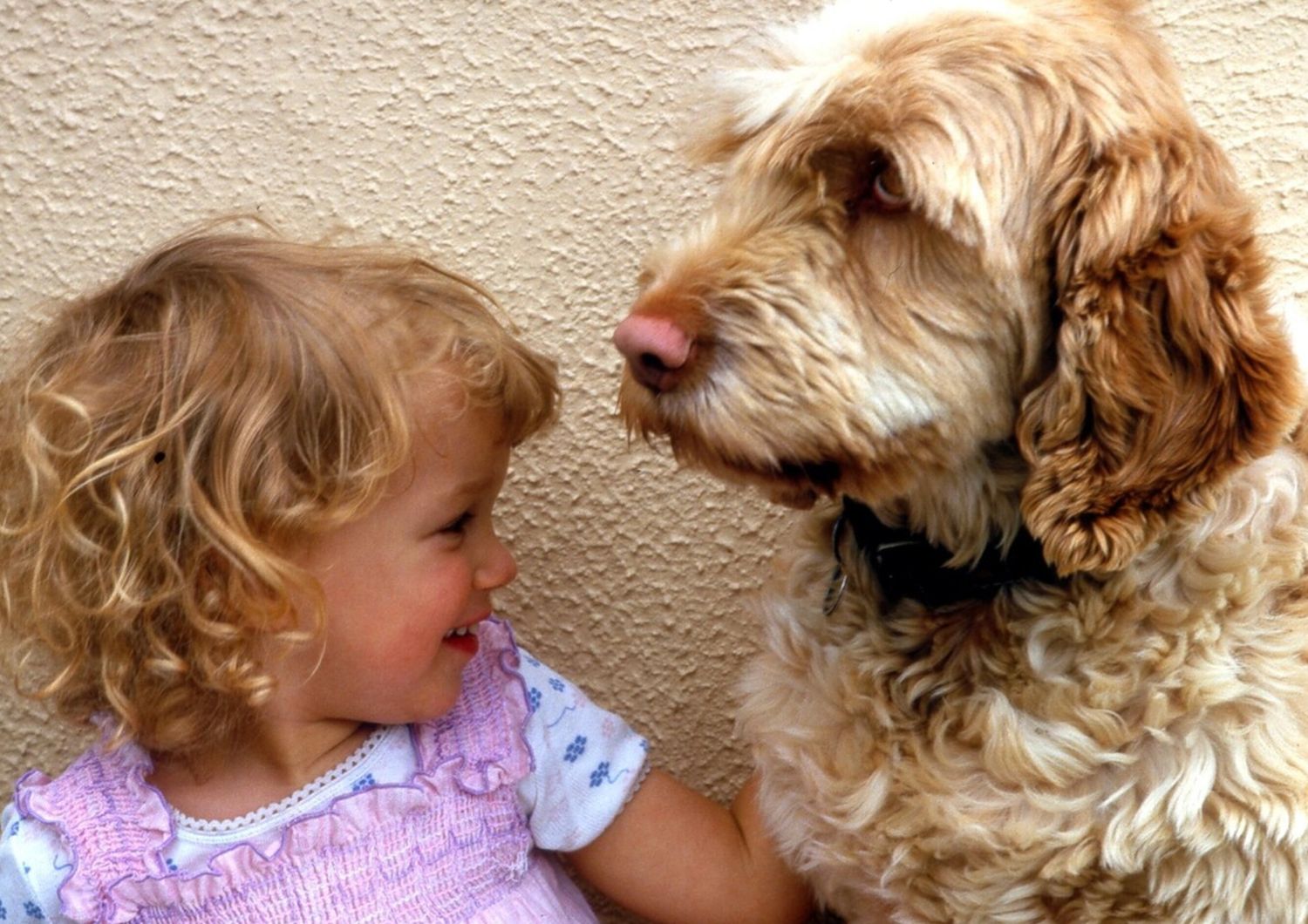 Il 26 agosto &egrave; la giornata internazionale del cane