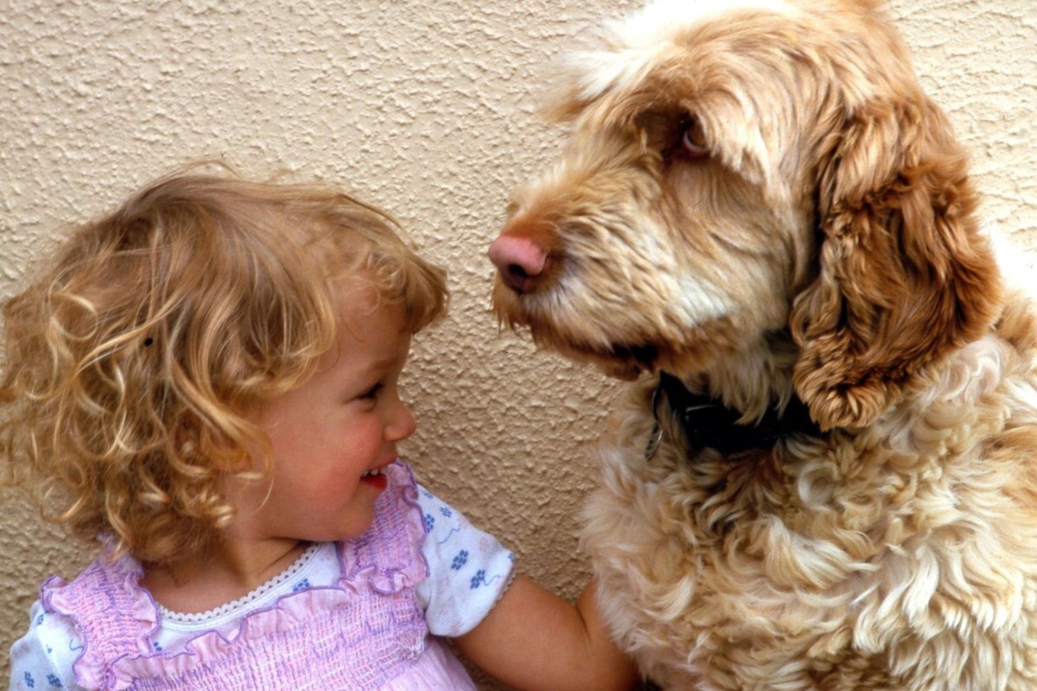 Il 26 agosto &egrave; la giornata internazionale del cane