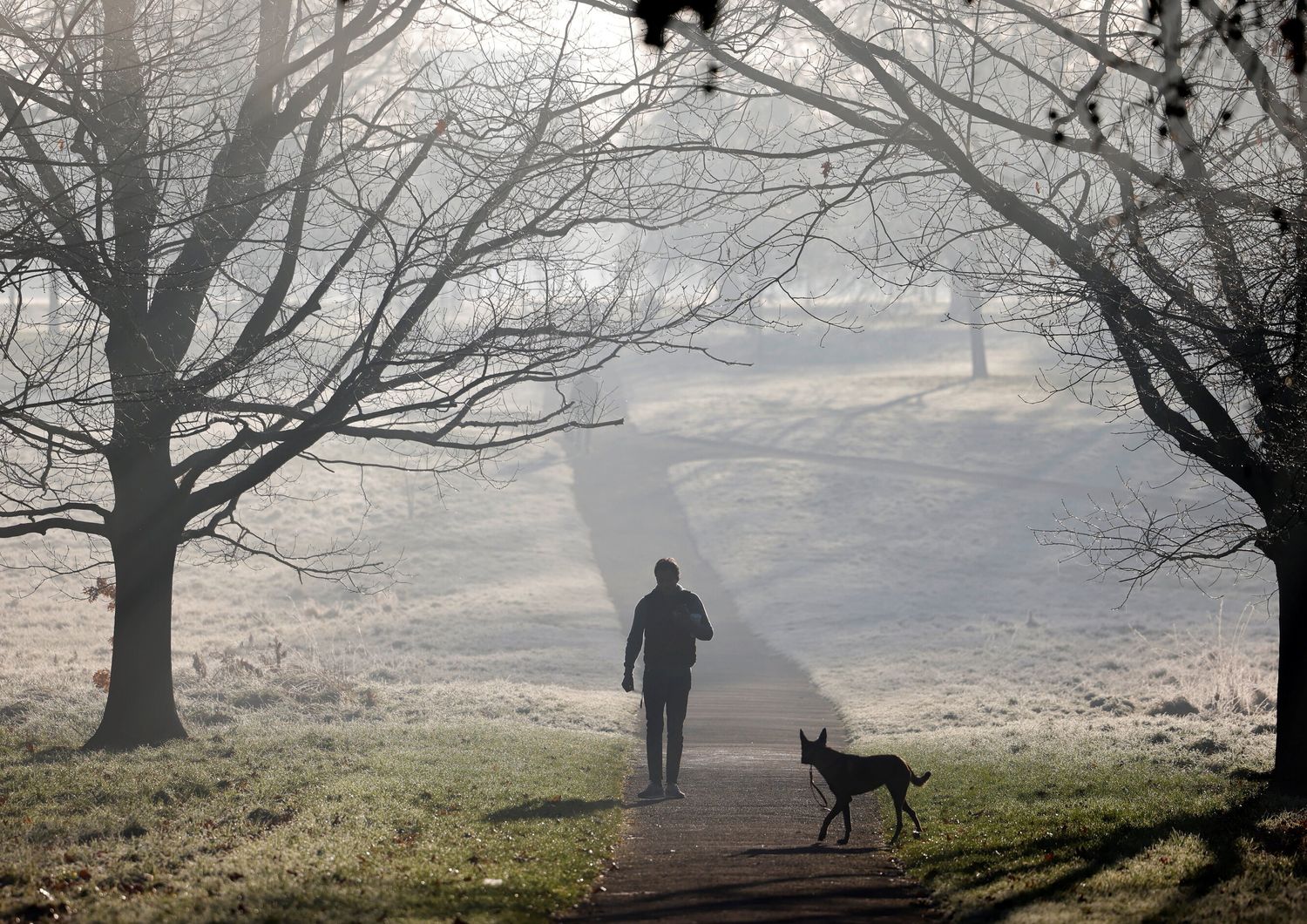Un uomo con il suo cane ad Hyde Park