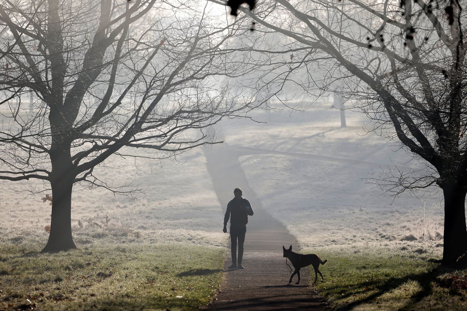 Un uomo con il suo cane ad Hyde Park