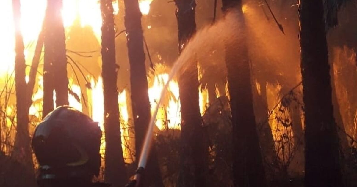 Scoppia il gran caldo al Sud, incendi in Calabria e Sicilia