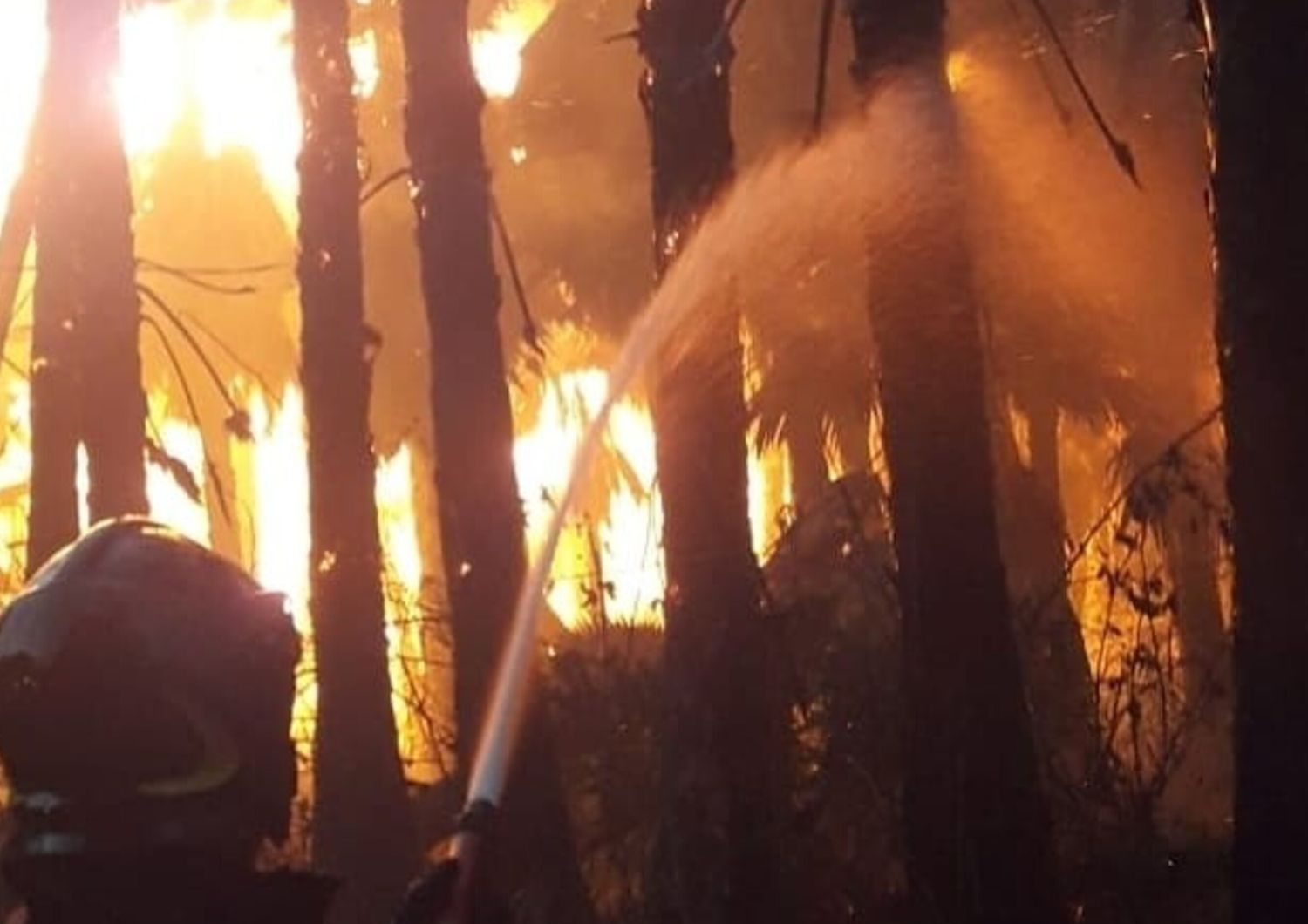 incendi-sud-italia-sicilia-calabria-colpite