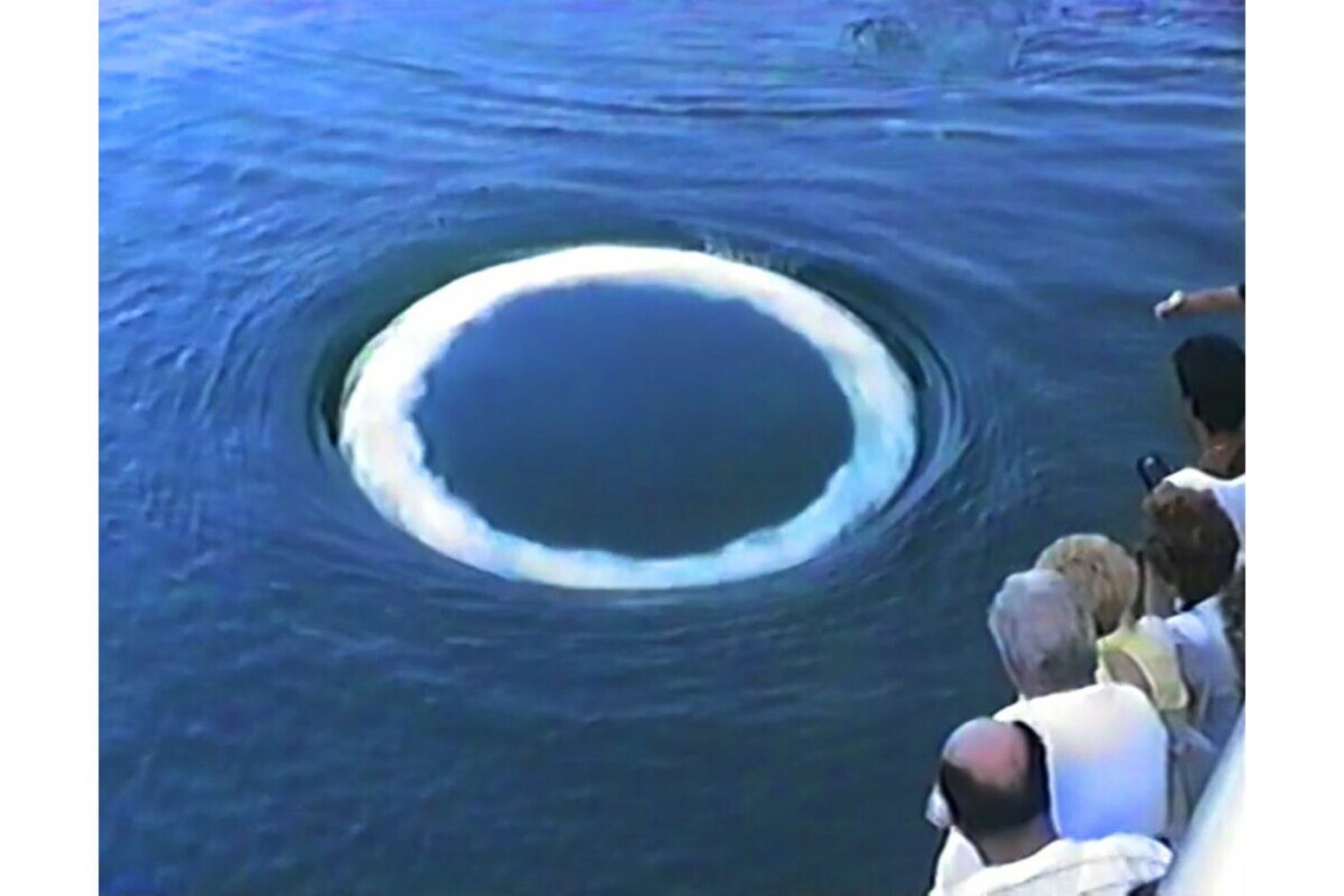 Che cosa c'entrano gli anelli di bolle con le megattere?