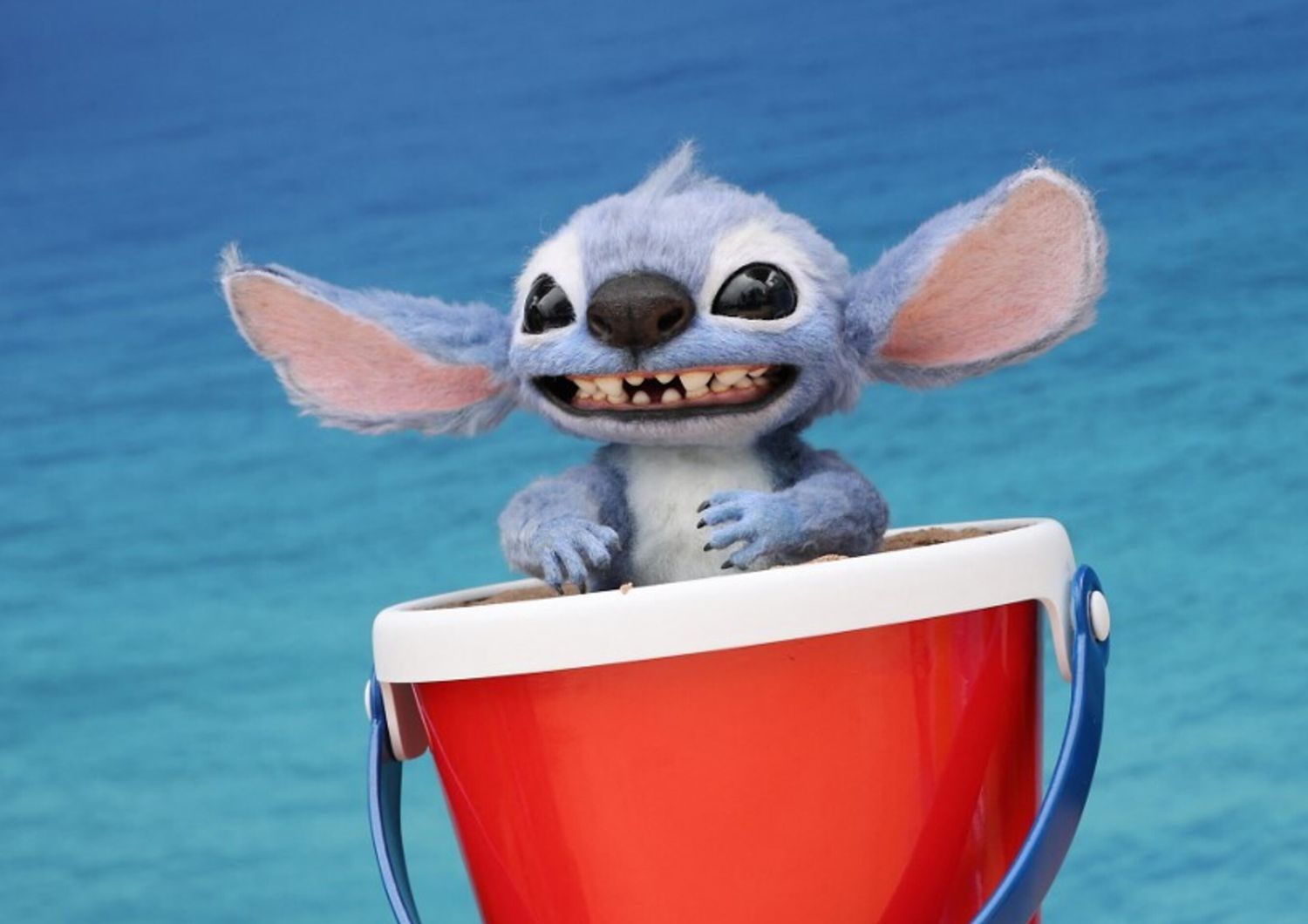 'Lilo & Stitch”