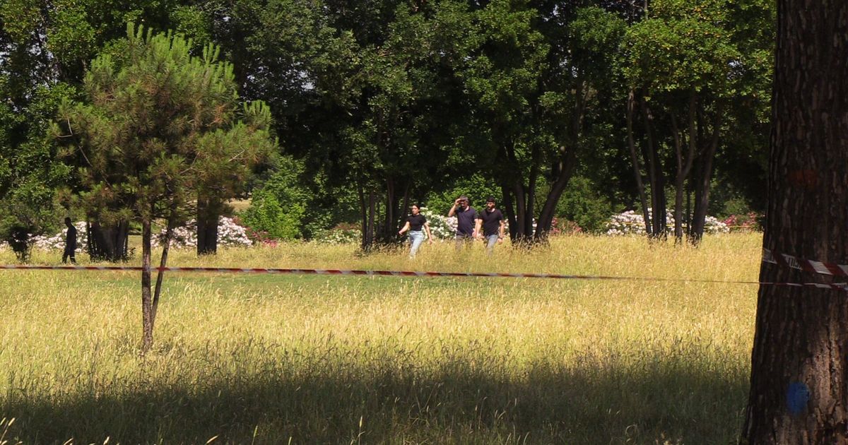 villa pamphili decine di segnalazioni dopo le foto dei tatuaggi160
