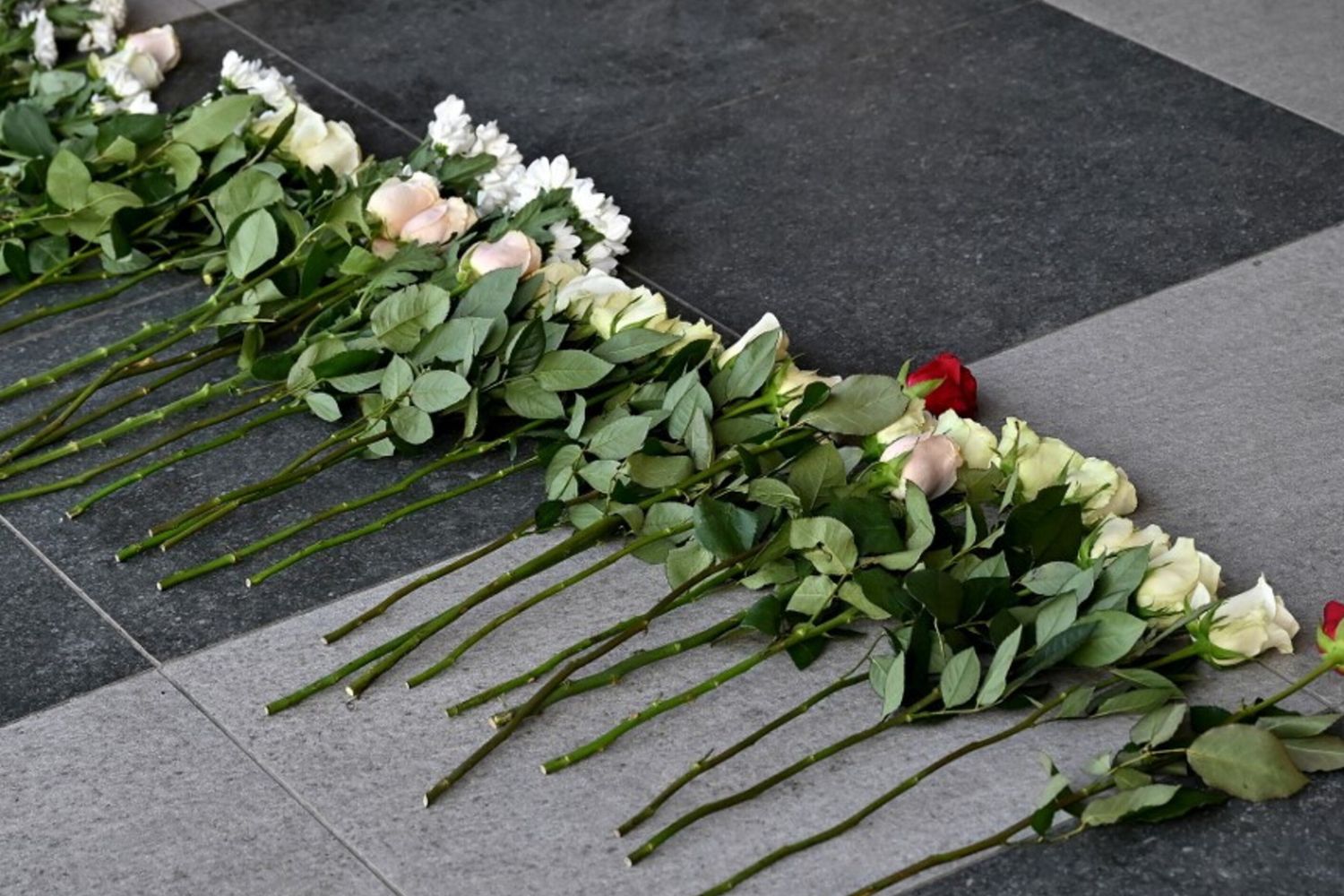 sparatorie di massa, comunità