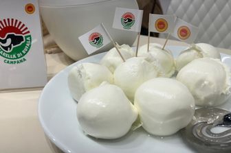 Mozzarella di bufala