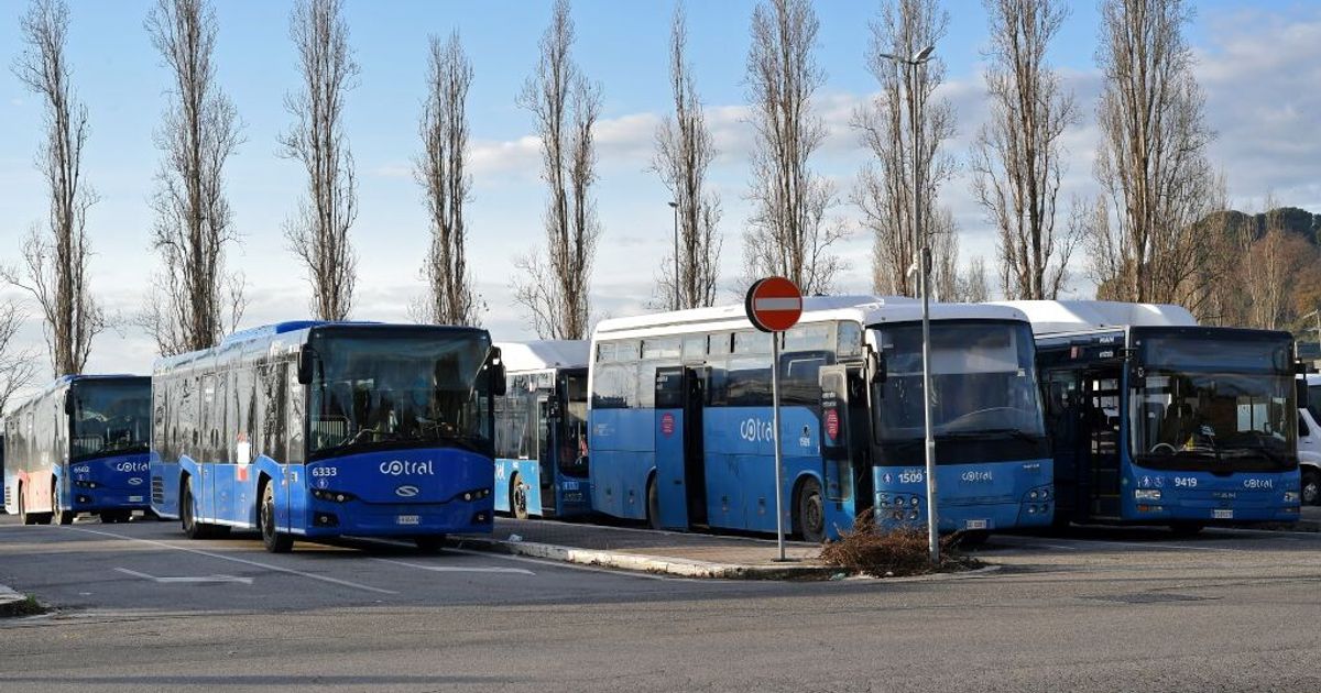 Scontro tra Cotral e Mini a Grottaferrata: morto un 19enne