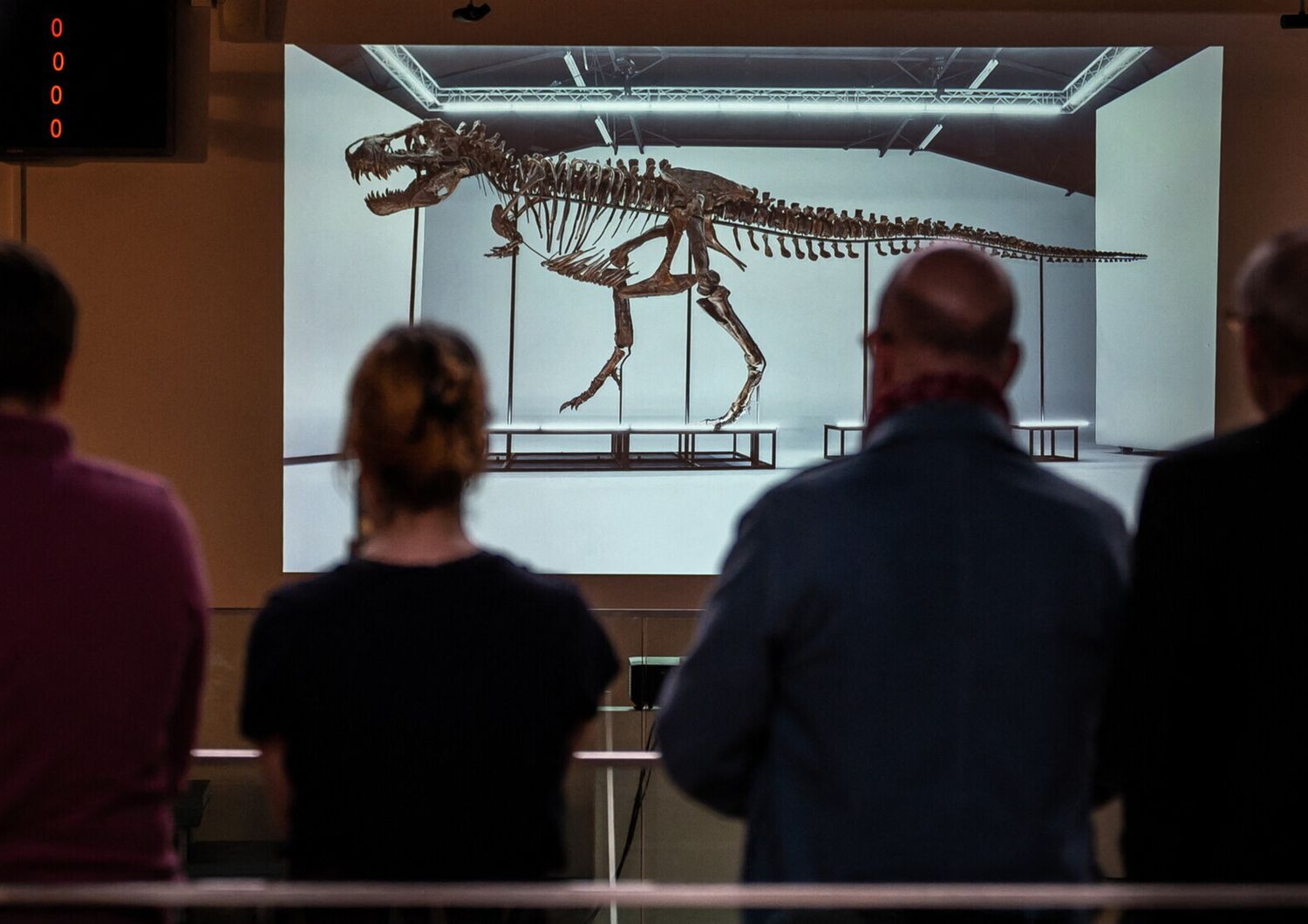 Il T-Rex battuto all'asta&nbsp;