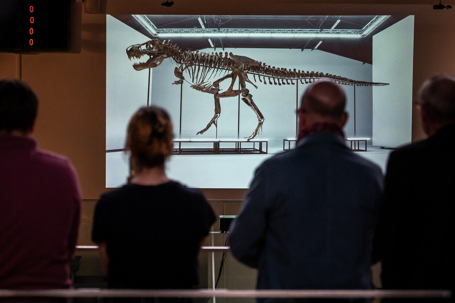 Il T-Rex battuto all'asta&nbsp;